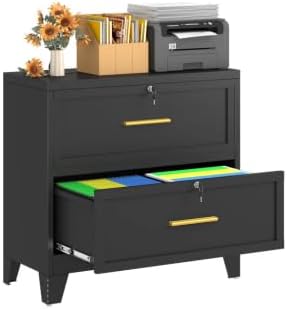 winiowa 2 Drawer File Cabinet, Metal Lateral File Cabinet with Lock, Locking Filing Cabinets for Home Office,Wide Office Storage Cabinet for Hanging Files Letter/Legal/F4/A4 Size (Black, 2-Drawer)