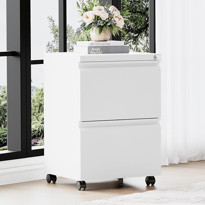 RAVIGIN 2 Drawer File Cabinet,Mobile Filing Cabinet with Lock and Wheels,Fully Assembled Metal Under Desk File Cabinets for A4/Letter/Legal Size(White