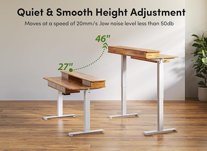 BANTI Height Adjustable Electric Standing Desk with 4 Drawers, 48 x 24 Inch Table with Storage Shelf, Sit Stand Desk, Light Rustic Brown Top