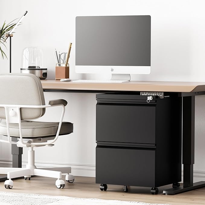 RAVIGIN 2 Drawer File Cabinet,Mobile Filing Cabinet with Lock and Wheels,Un-Assembled Metal Under Desk File Cabinets for A4/Letter/Legal Size(Black