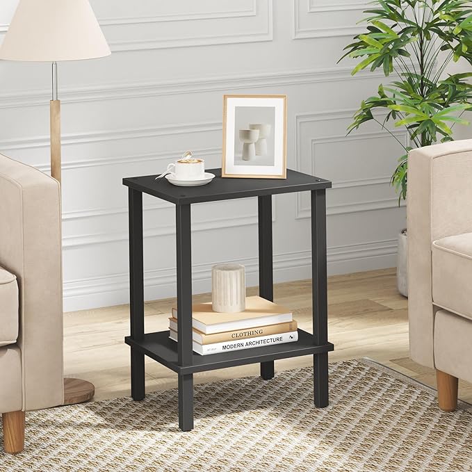 TUTOTAK End Table, Side Table, Nightstand, 2-Tier Storage Shelf, Sofa Side Table for Small Space, Living Room, Bed Room Black TB01BK034