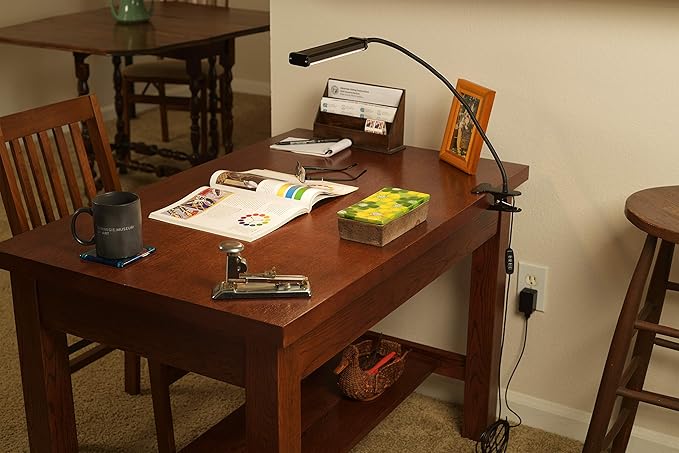Acurit 54 LED Clip On Light Reading Lamp, 21 Inch Flexible Gooseneck, Adjustable 3 Color Temperature 800 Lumens, 10' Extra Long Power Cable, USB & Adapter - Black Metal