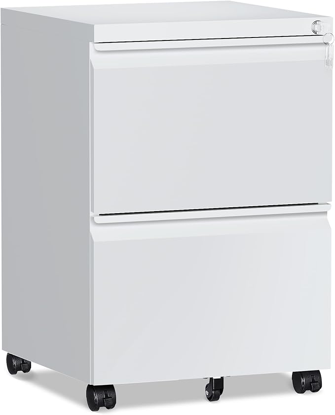 RAVIGIN 2 Drawer File Cabinet，Mobile Filing Cabinet with Lock and Wheels，Fully Assembled Metal Under Desk File Cabinets for A4/Letter/Legal Size（White