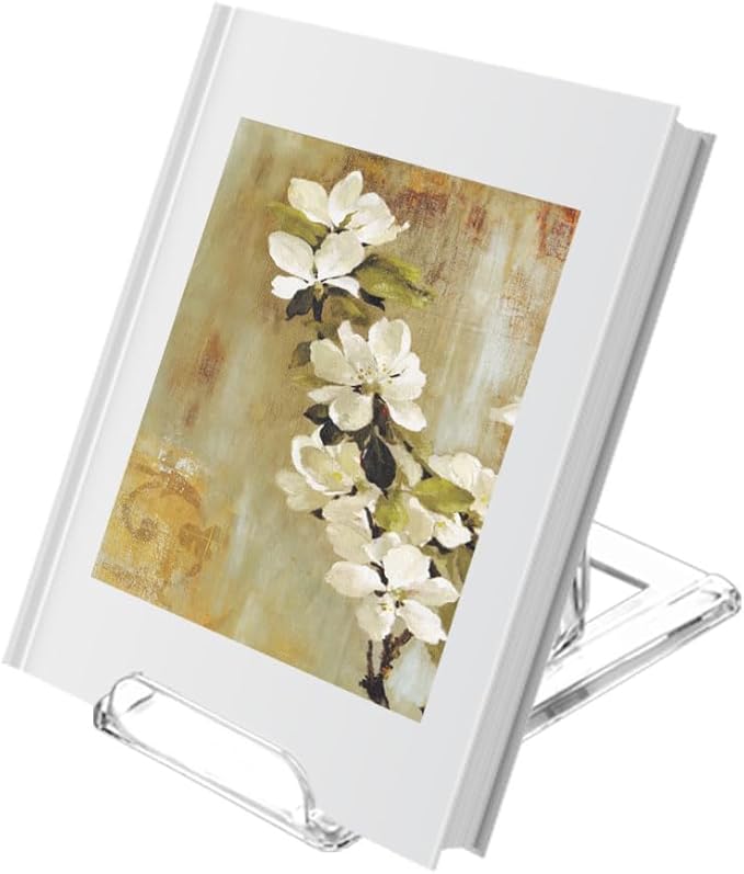 TERDEWE 10 Pack Acrylic Book Stand for Display Adjustable Clear Display Holder Easel Collector Stand for Home Office Back to School Comic Album CD Magazine Postcard Artworks (4.2 x 4.3 x 2.35 Inch)