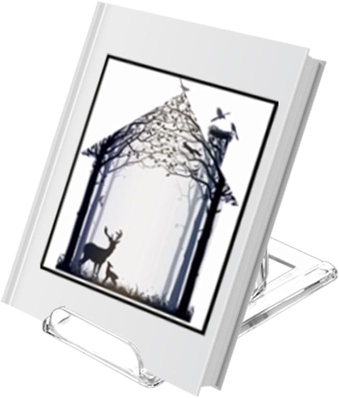 TERDEWE 10 Pack Acrylic Book Stand for Display Adjustable Clear Display Holder Easel Collector Stand for Home Office Back to School Comic Album CD Magazine Postcard Artworks (4.2 x 4.3 x 2.35 Inch)