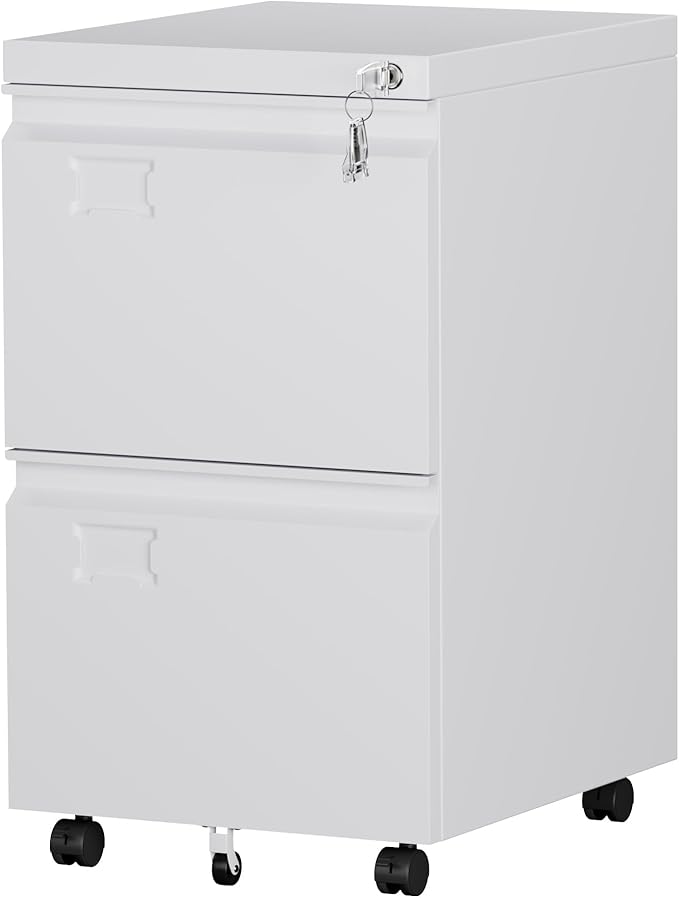 SUXXAN 2 Drawer Mobile File Cabinet with Lock, Heavy Duty Steel Under Desk Filing Cabinet for Home Office, Anti-Tip Design with 5 Casters, Assembly Required
