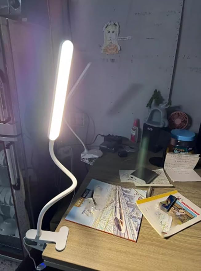Clip on Light LED Desk Lamp LED Light and Metal Clip, 10 Level Brightness 3 Color Modes, Power by USB Port 10W Flexible Gooseneck Reading Light for Home and Office (Black)