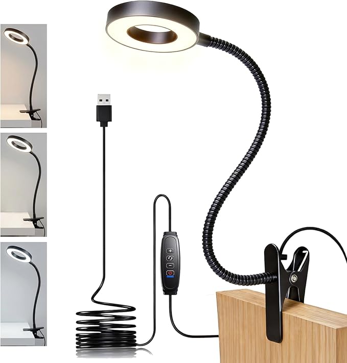 Desk Lamp with Clamp, 3 Color Modes & 10 Brightness LED Desk Light, 360°Adjustable Reading Lamps for Bed, Headboard, Clip on Light for Home Office Study Craft (Black)