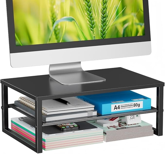 Ekisemio 2-Tier Computer Monitor Stand Riser, Desk Organizer for Monitor, Black