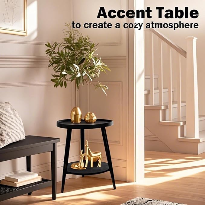 Black Side Table, Modern Side Table 2-Tier, Small Round End Table for Living Room, Metal Frames