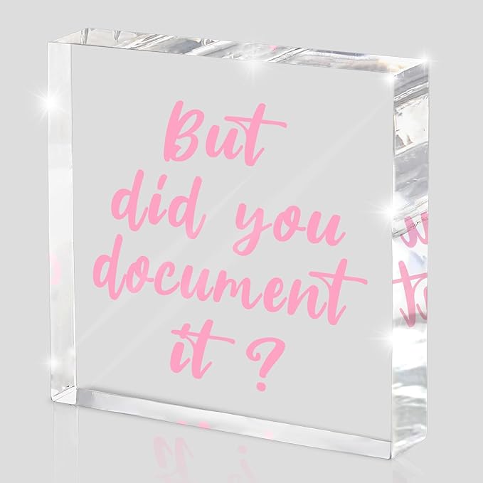 But Did You Document It Pink Office Decor - Pink Desk Accessories Acrylic Square Sign - Fun Office Decor Gift for Friends Colleagues Employees