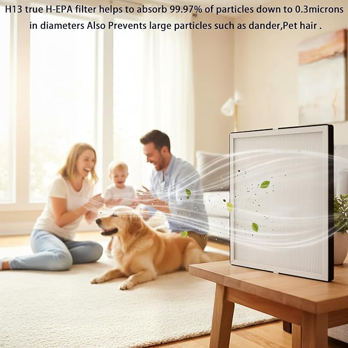 Replacement Filter for EOEBOT/MATONC Gany mede Air Purifier：2 pack H13 H-EPA filters used for Bedroom and Office bedroom, living room, kitchen or office