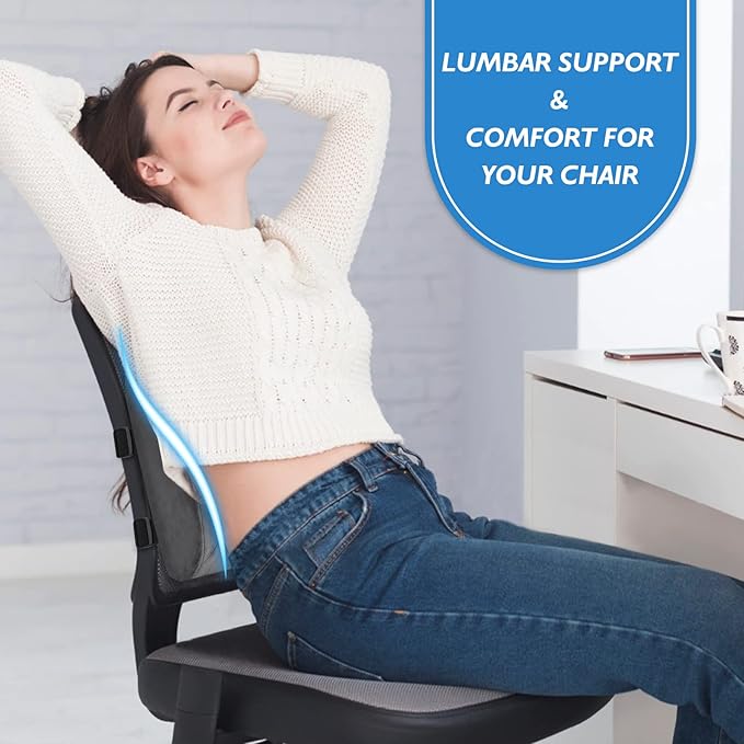 LumbarPal Lumbar Support Pillow for Office Chair Back Support Lumbar Pillow for Car, Gaming, Office Chair - Improve Sitting Posture & Back Pain Relief, Memory Foam, Adjustable Straps, Fluffy Grey