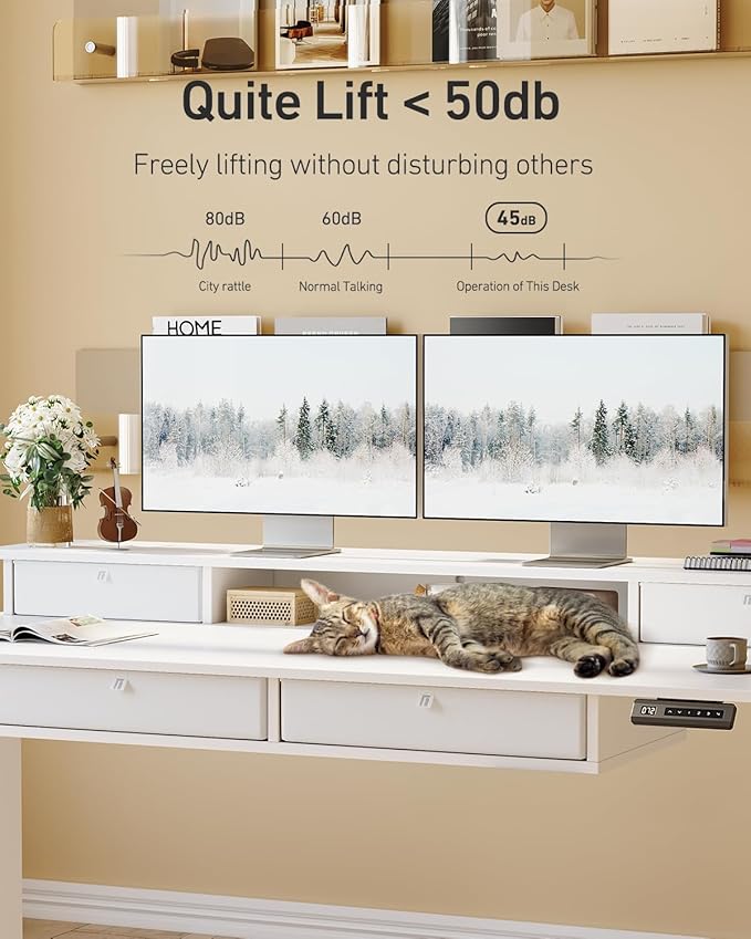FEZIBO 60 x 30 inch Standing Desk with Drawers, Height Adjustable Electric Workstation, Computer Sit Stand Up Table with Large Storage Shelf 4 Drawers and 2 Hooks, White