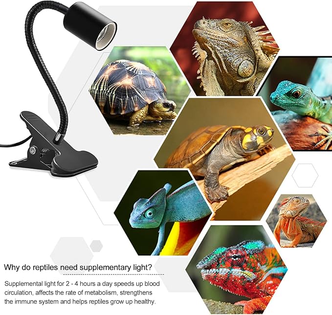 Clip on Light E26/E27 Metal Clamp Light Socket with Plug and Switch 360° Flexible Rotatable for Bedside Office Basement Reptile Plant Illumination Clip Lamp Black (No Bulb)
