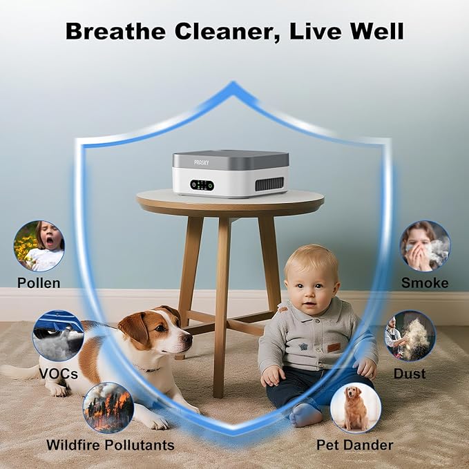 Air Purifiers for Home, H13 True HEPA Filter Captures Smoke Odor Pet Dander, Portable Quiet Car Air Purifier for RV/Desk/Bedroom/Office, Covers up to 600 Ft², Timer - 1 Filter