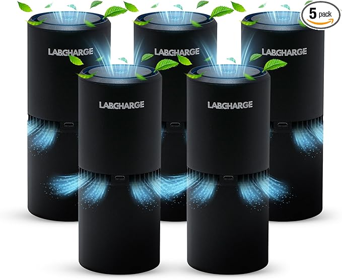 LabCharge Small Ionic Air Purifier for Home & Bedroom – Silent HEPA Filter – Covers 250 Sq Ft - Free Cleaner – Compact & Black Design - Pack of 5