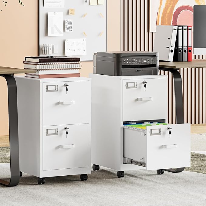 MIIIKO 2 Drawer File Cabinet with Lock, Metal Vertical Filing Cabinets for Home Office, Lockable File Storage Cabinets Under Desk, A4/Letter File Folders Storage-Assembly Required