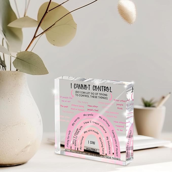 Mental Health I Can Control Decor, 4x4 Inch Pink Acrylic, Women's Therapy Office Sign, Girls Dorm Essentials, Motivational Room Decor and Gift