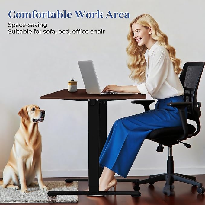 NSY Audio Electric Standing Desk 48x24 Inches - Height Adjustable, Whisper Quiet Motor, White Top & Black Frame for Home Office Gaming, Focused Work, White