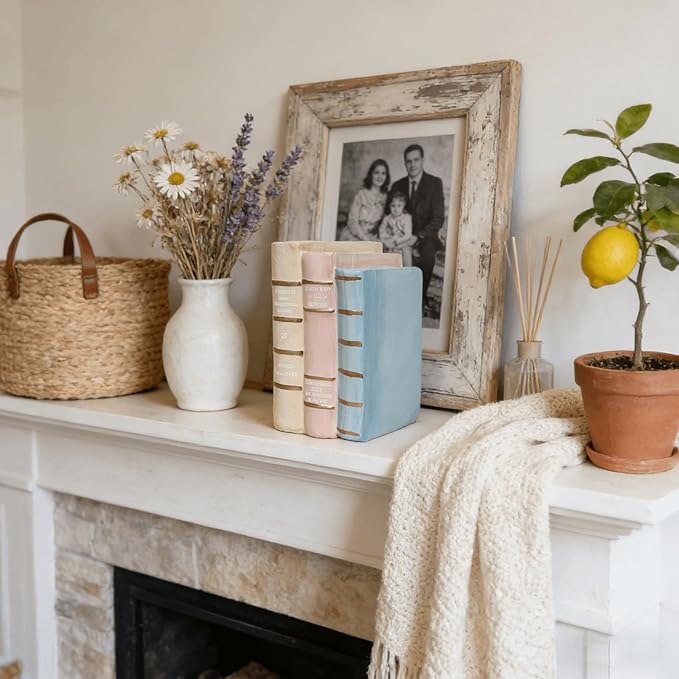 Decorative Books Shelf Home Decor - Resin Fake Books for Decoration Coffee Table Books for Living Room Aesthetic Bedroom Bookshelf Office Desk Bookends Modern Farmhouse 5.5 x 4.5 x 7.5 Inch DiliComing