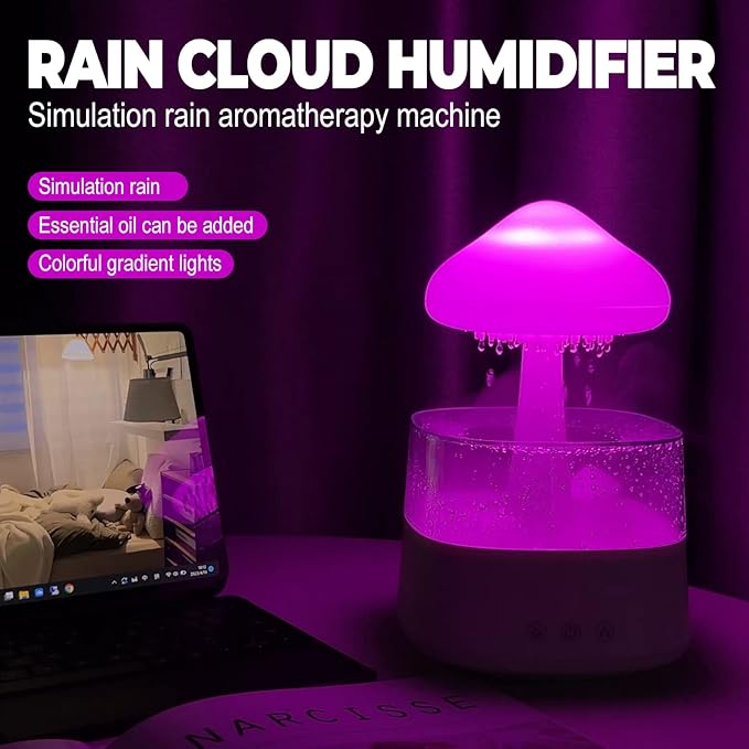 Rain Cloud Humidifier Water Drip with Adjustable LED Lights White Noise Humidification Desk Fountain Bedside Sleeping Relaxing Mood (White)