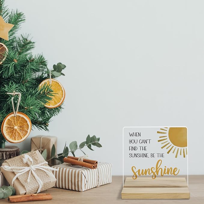 Be the Sunshine Motivational Decor Sign, Sunshine Gifts for Women Acrylic Plaque