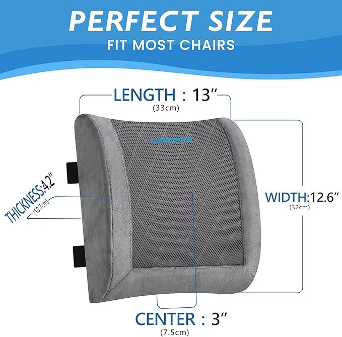 LumbarPal Lumbar Support Pillow for Office Chair Back Support Lumbar Pillow for Car, Gaming, Office Chair - Improve Sitting Posture & Back Pain Relief, Memory Foam, Adjustable Straps, Fluffy Grey