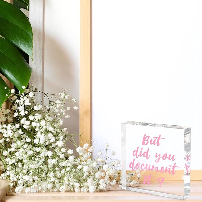 But Did You Document It Pink Office Decor - Pink Desk Accessories Acrylic Square Sign - Fun Office Decor Gift for Friends Colleagues Employees