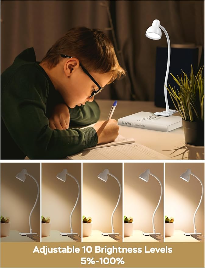 LiFMIRA Clip on Lamp USB Reading Light, 3 Color Modes, 10 Brightness Dimmable, Flexible Gooseneck Desk Lamp with Clamp, Eye Care Clip on Light for Bed Desk Headboard Home Dorm White