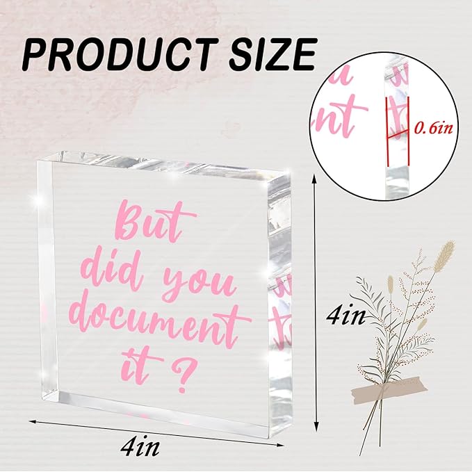 But Did You Document It Pink Office Decor - Pink Desk Accessories Acrylic Square Sign - Fun Office Decor Gift for Friends Colleagues Employees