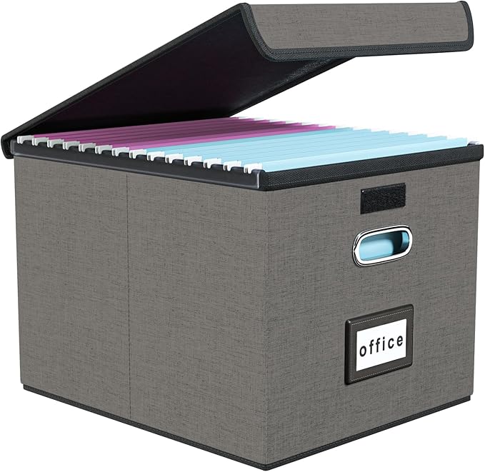 File Organizer Box with Lid, Collapsible File Folder Organizer for Office Document Storage, Filing Box with Plastic Slide for Letter Size Hanging File Folders(1 Pack, Smoky Grey)