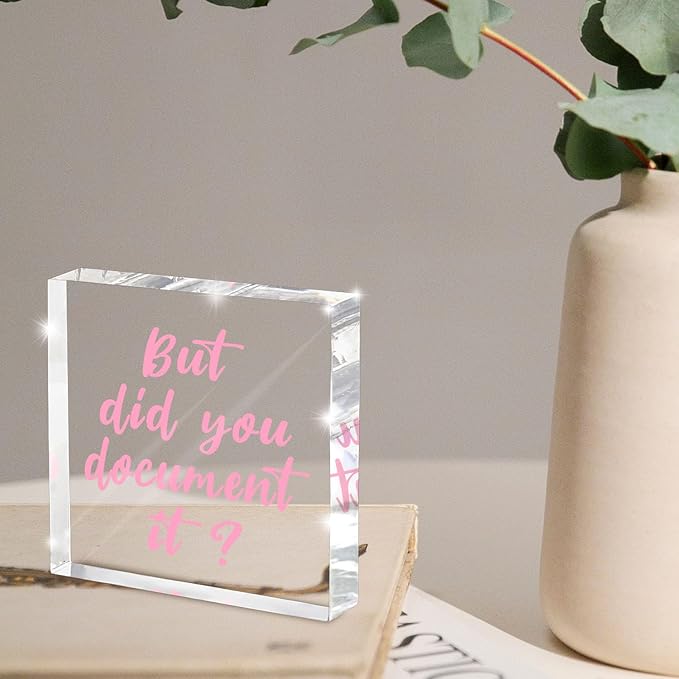 But Did You Document It Pink Office Decor - Pink Desk Accessories Acrylic Square Sign - Fun Office Decor Gift for Friends Colleagues Employees