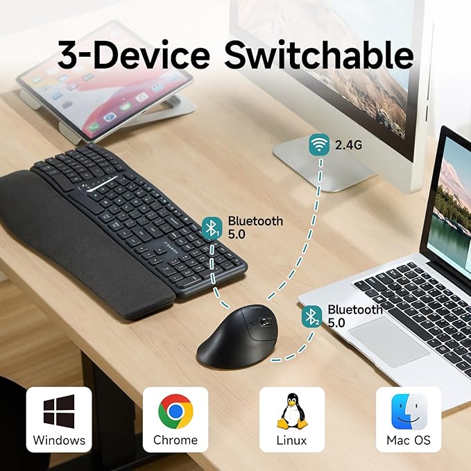 SANWA Multi Device Ergonomic Vertical Mouse, Silent Click, 5 Programmable Buttons, 2 Bluetooth 5.0 + 2.4G Wireless Ergo Mice for Medium Large Hands, Compatible with Windows, Mac OS, Laptop, PC, Black