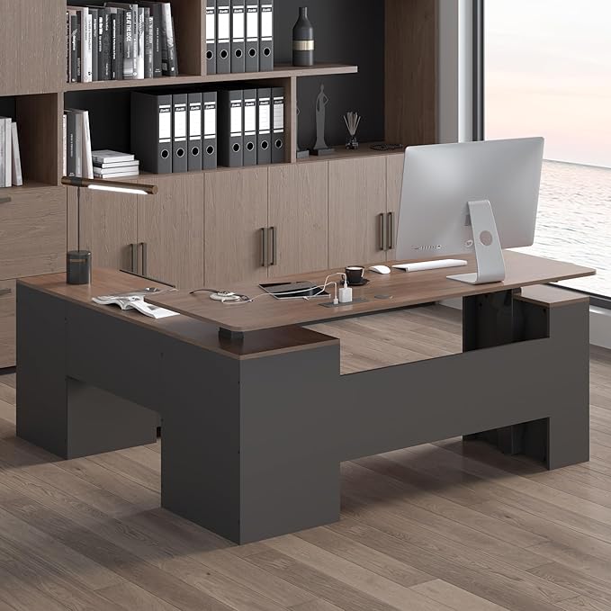 JOMEED 63" L Shaped Electric Standing Desk with Storage, Executive Adjustable Height with Privacy Pane and Power Outlets,Brown and Black