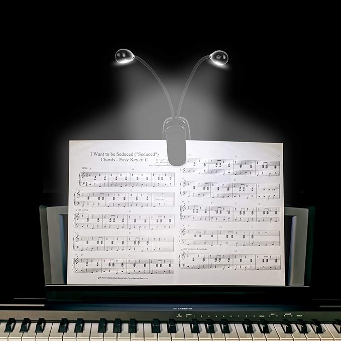 10 Pack Music Stand Lights - Musician Piano Light Clip On, USB & AAA Battery Powered, Eye Care & Portable, LED Book Reading Lamp, 4 Brightness, Ideal for Orchestra, Sheet Music, Guitar (Dual Arm)