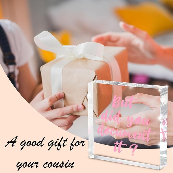 But Did You Document It Pink Office Decor - Pink Desk Accessories Acrylic Square Sign - Fun Office Decor Gift for Friends Colleagues Employees