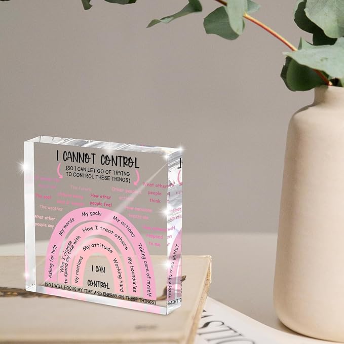 Mental Health I Can Control Decor, 4x4 Inch Pink Acrylic, Women's Therapy Office Sign, Girls Dorm Essentials, Motivational Room Decor and Gift