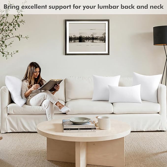 MIULEE 26x26 Inch Throw Pillow Insert Premium Throw Pillow Polyester Microfiber Stuffer Pillow for Sofa Bed Couch