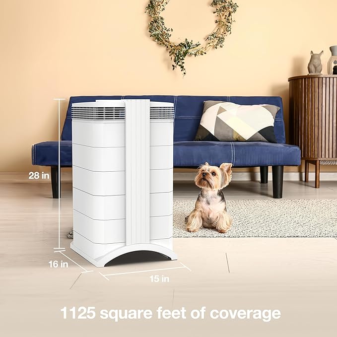 IQAir HealthPro Plus XE Air Purifier - Smart HyperHEPA Filtration for Large Rooms up to 1125 sq ft - Smoke, Viruses, Allergens, Asthma, Mold, Dust, Pets, Swiss Made, WiFi Enabled (3/pack)