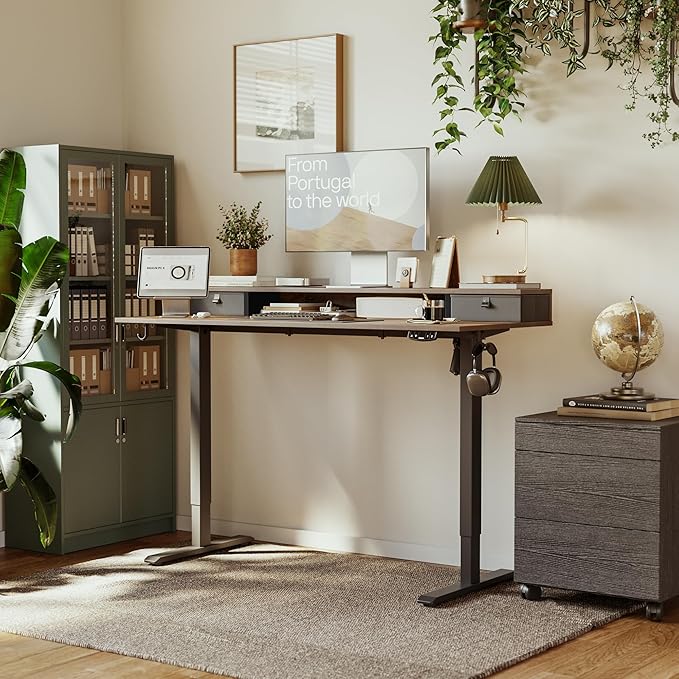 Agilestic 63 x 24 Inches Height Adjustable Electric Standing Desk with 2 Drawers, Stand Up Electric Desk Adjustable Height, Sit Stand Computer Gaming Table with Splice Board, Rustic Brown