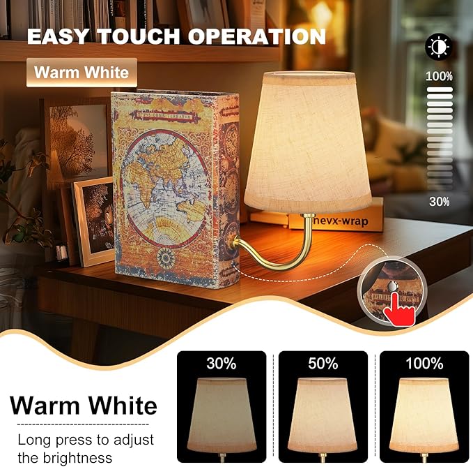 Gold Warm Light Vintage Bookshelf Lamp Rechargeable, Cordless Bookcase Lamp with Linen Shade, Dimmable Touch Control Table Lamp, Modern Decorative Bookend, Bookshelf Lights for Office Home