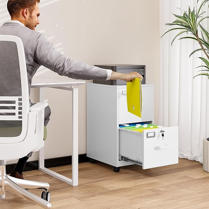 BYNSOE 2 Drawers File Cabinet with Lock Metal Vertical File Cabient with Wheels Mobile File Cabinet for Office Home Legal/Letter/a4 Size Require Assembly (White, 2 Drawers)