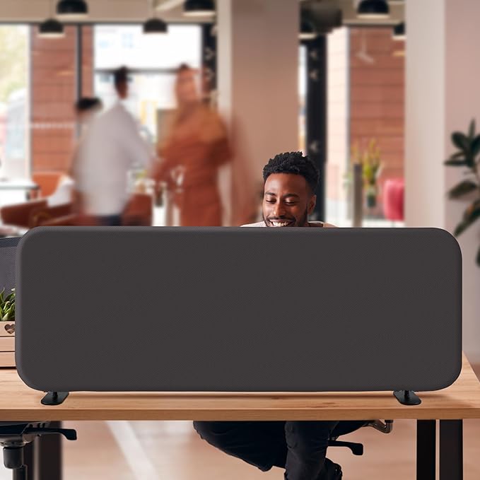 DECOLAB Desk Divider, Portable Desktop Privacy Panels Partition for Study, Home Office, Workplace, Students, Free Standing, Anti-Scratch, 48"x18", Iron