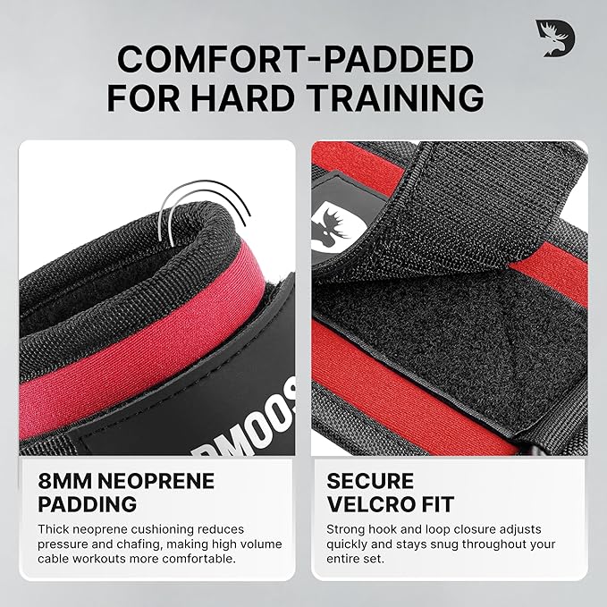DMoose Fitness Ankle Strap for Cable Machine - One Size Fit with Premium Padding Cuffs, Ankle Bands for Working Out, Booty Workouts, Leg Extension, Hip Abductors, Kickbacks & Lower Body Exercises