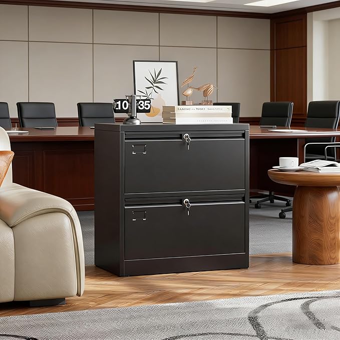 SUXXAN Lateral File Cabinet with Lock and Name Card Slots, 2 Drawer Metal Filing Cabinet for Home Office, Individual Locking System for Privacy, Heavy Duty Steel Storage for Letter/Legal Size