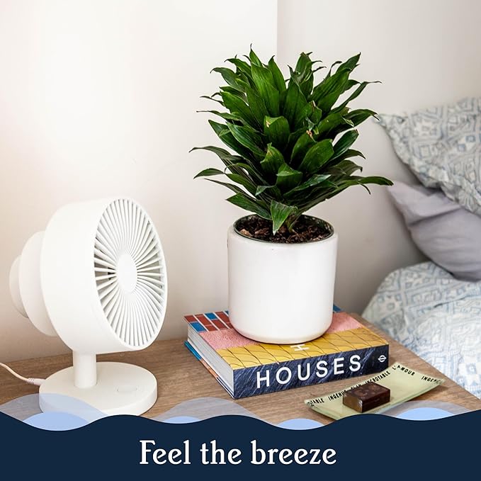 Windmill Smart Fan – Ultra-Quiet 2-in-1 Air Circulator with Remote – 5-Speed Compact Cooling Fan – Whisper-Quiet - App Compatible – Butter