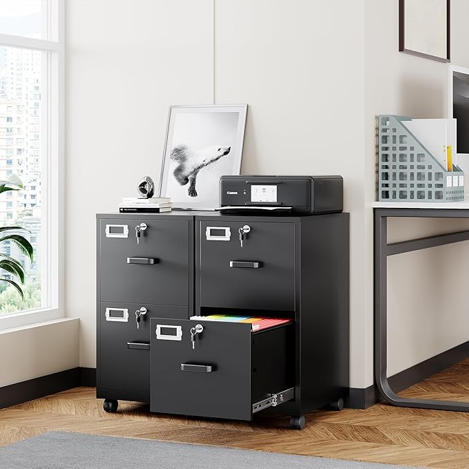 BYNSOE 2 Drawers File Cabinet with Lock Metal Vertical File Cabient with Wheels Mobile File Cabinet for Office Home Legal/Letter/a4 Size Require Assembly