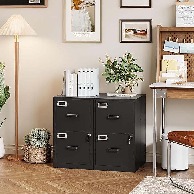PEUKC 2 Drawer File Cabinet with Lock, 25.4" High Vertical Filing Cabinet, 17.7" Deep Metal Storage Cabinets for Home Office, Letter/Legal/A4/F4 Size, Black(Assemble Required)