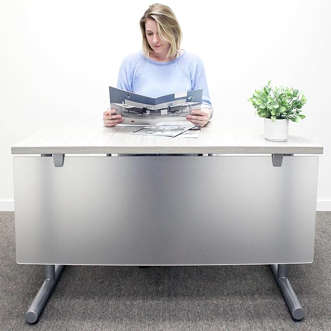 OBEX Table Mounted Modesty Panel Acrylic Desk Privacy Panel & Barrier for Office Cubicle, 24" x 48", Frosted